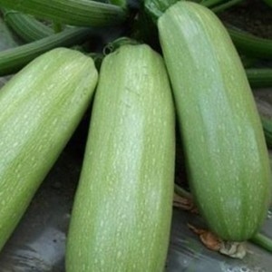 2024娱乐圈大戏时间线回顾：揭秘吃瓜群众的狂欢背后